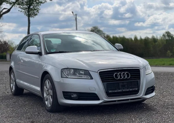 audi łódzkie Audi A3 cena 19999 przebieg: 230000, rok produkcji 2010 z Małomice